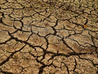 dry cracked earth