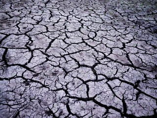 dry cracked earth
