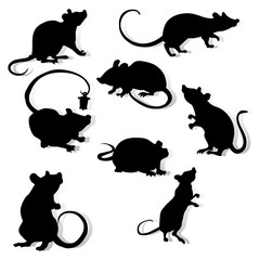 Collection of black silhouettes, year of the rat. Decoration for 2020 Chinese year of the rat, on a white background