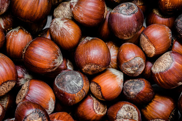 Hazelnut Texture