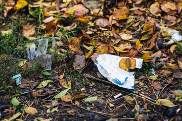 Plastic trash lies among the leaves. Environmental pollution concept.