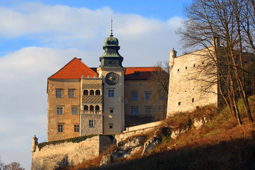 Pieskowa Skala castle in the Ojcowski National Park, Poland