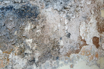 Grunge Cement Wall Texture. Moss background, Green moss on grunge texture.Walled walls are mossy and rusty.old wall texture with moss and water streaks close-up.Vintage texture of old building.