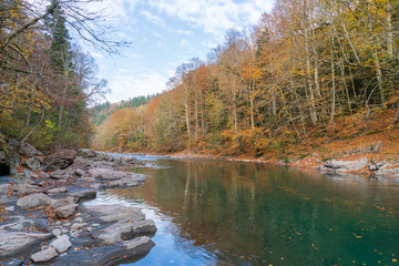 Clean mountain river in the autumn forest.