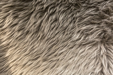 Fototapeta premium Tiled sheepskin wool, macro close up