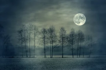 Afwasbaar Fotobehang Volle maan full moon and tree