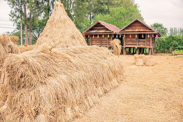 Traditional rice storage in Thailand, cottage for rice storage in rural of Thailand