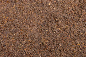 Top view of Brown soil or fertile soil for planting sprout tree in garden.