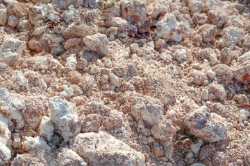 Lateritic soil in sunlight backgroung and texture