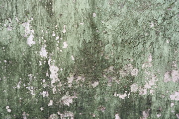 Grunge Cement Wall Texture. Moss background, Green moss on grunge texture.Walled walls are mossy and rusty.old wall texture with moss and water streaks close-up.Vintage texture of old building.