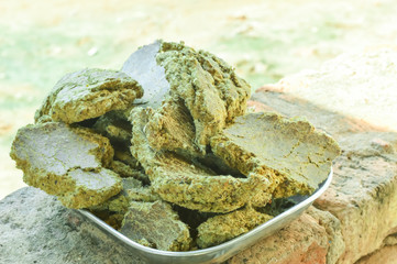 kapasiya khol,khad,cotton cake,cotton cake seed