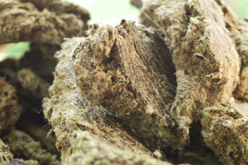 cotton seed cake,khod cotton