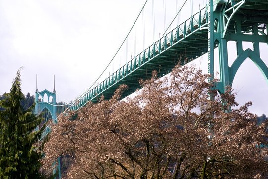Low angle shot of the famous St Johns Bridge surrounded by a forest in Portland, Oregon