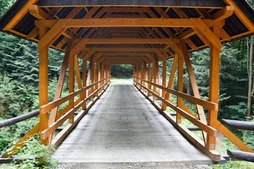 Wooden bridge through ravine in hamlet Zyczanow, near village Rytro, Poland.