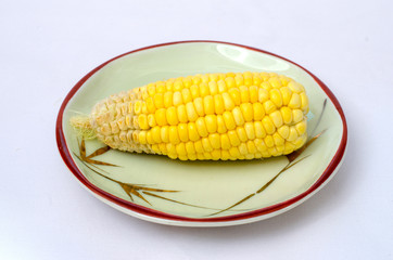fresh corn on the cob