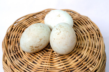 Naklejka na ściany i meble mushrooms in a basket isolated on white