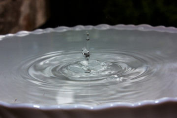 close up photo of water drop 