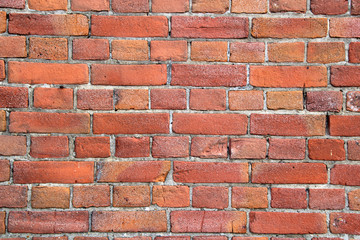 Old brick wall - Veere, Netherlands.