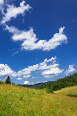 Fototapeta premium Summer mountains landscape