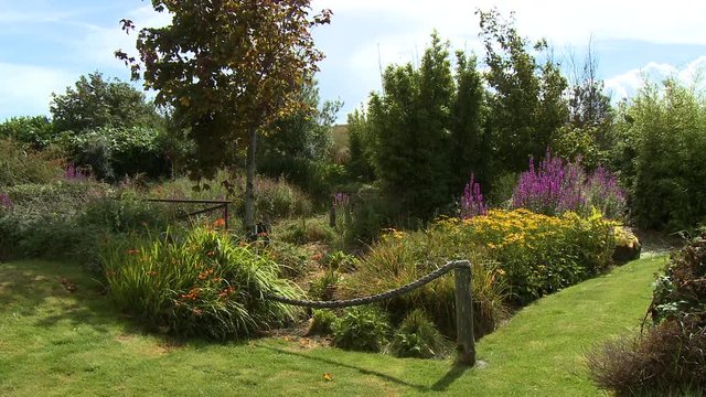 Steady, medium wide shot of a garden containing various colorful flowers.