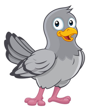 A pigeon dove bird cute cartoon character