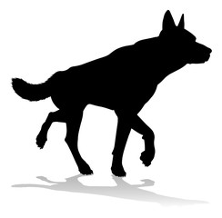 Fototapeta premium A detailed animal silhouette of a pet dog