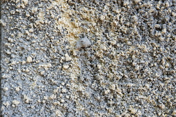 Stucco white wall background or texture.Wall fragment with scratches and cracks.White and golden messy wall stucco texture background. Decorative wall paint.Ultrawide Grunge Seamless Grey Grunge.