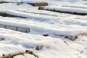 Snow thawed beds