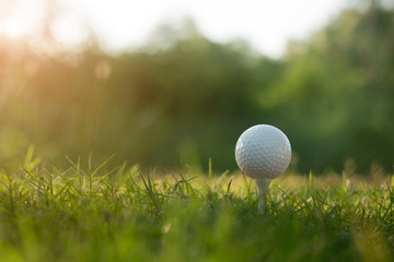 golf ball on tee in a beautiful golf course with morning sunshine