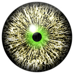 Eye iris with reflection