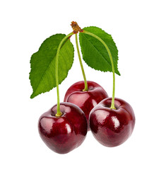 Cherries with leaf isolated on white background with clipping path