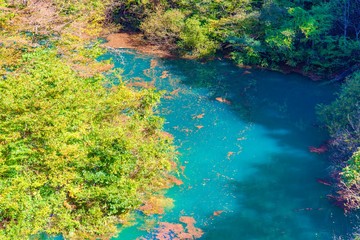 lake in deep forest
