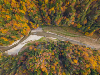 Aerial view of remote and wild river Sense in Switzerland. Beautiful fall colors in the forest....