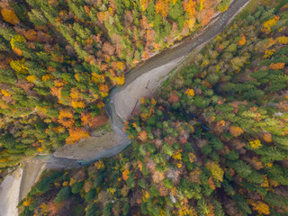 Aerial view of remote and wild river Sense in Switzerland. Beautiful fall colors in the forest. Concept of wilderness in nature.
