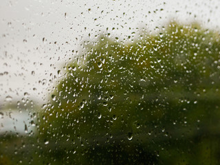 raindrops on the glass. Rainy weather. against the background of a blurred background of nature. Raindrops on the window on an autumn day. green tree on the background.