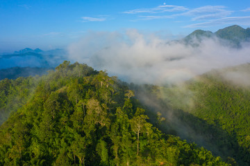 Aerial view of tropical rainforest. North Laos. Southeast Asia. Photo made by drone from above. Bird eye view.