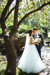 The bride and groom walk together in the park. Charming bride in a white dress, the groom is...