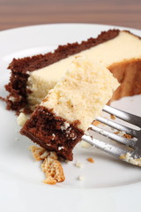 Eating Cheesecake. Macro.