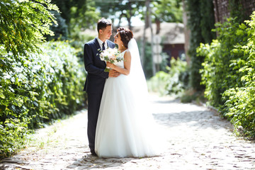 The bride and groom walk together in the park. Charming bride in a white dress, the groom is...