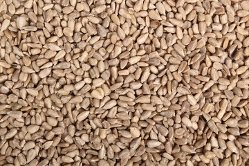 Background of sunflower seeds. Directly Above.