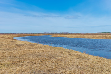 A small river in the spring season