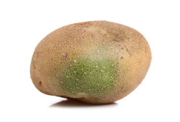 Raw unpeeled potato with green skin. Isolated on a white backgro