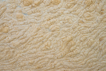 Background of yellow foam on the water