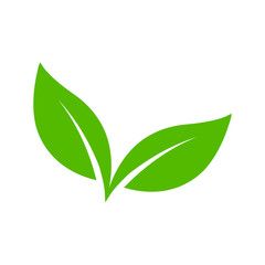 leaf logo vector design template