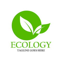 leaf logo vector design template