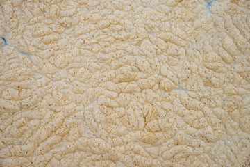 Background of yellow foam on the water