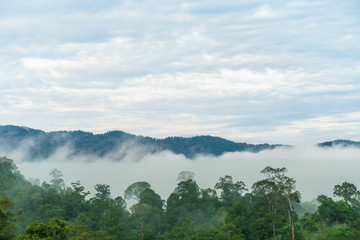Good Morning mist background sky, Misty beautiful mountain in the Golden Mountain Bright green, abundant in Narathiwat Thailand.