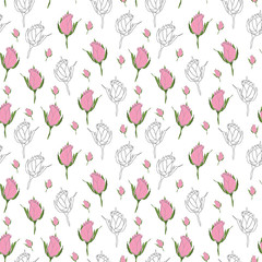 Seamless pattern Rose illustration on white background