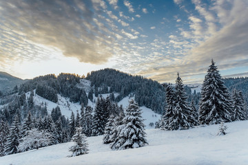 Winter landscape glowing by sunlight. Dramatic wintry scene. Carpathian, Ukraine, Europe.