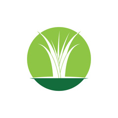 Grass logo vector